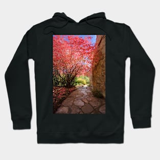 Autumn Pathway Hoodie